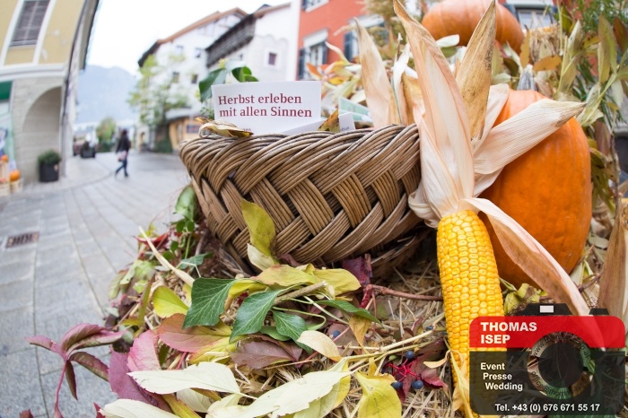 Erntedank Stadtmarkt Lienz (3.10.2015)_3