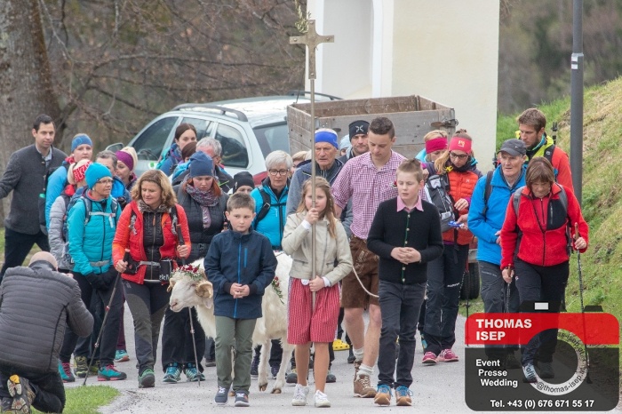 Prozession mit Widder zur Wallfahrtskirche Lavant (15.4.2018)_12
