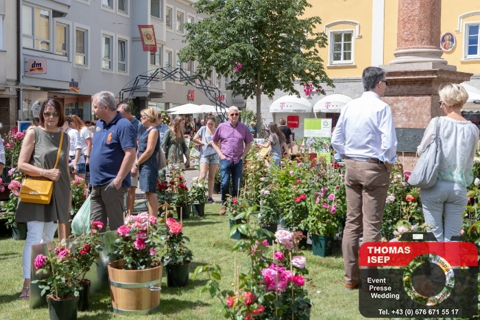 Rosen in der Oberen Altstadt Lienz (23.6.2018)_1
