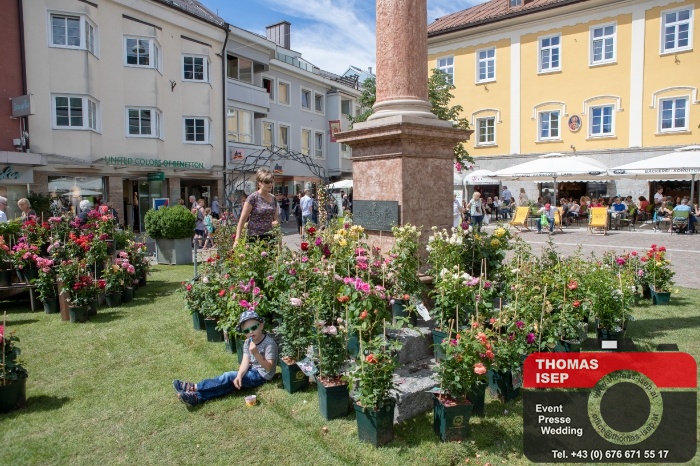 Rosen in der Oberen Altstadt Lienz (23.6.2018)_2