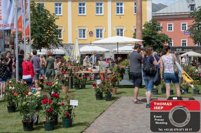 Rosen in der Oberen Altstadt Lienz (23.6.2018)_3
