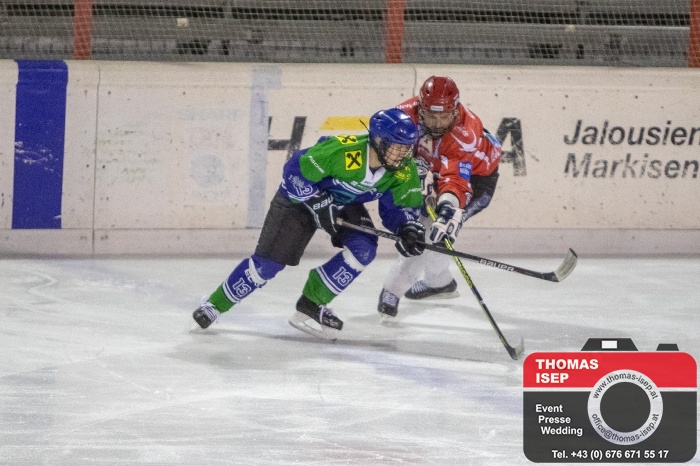 Eishockey Lienz gegen Virgen (9.2.2019)_6