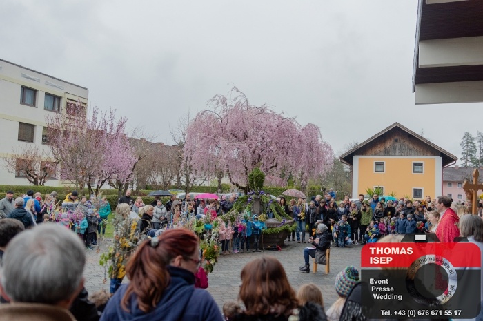 Palmsegnung Festmesse Hl.Familie (14,4,2019)_6