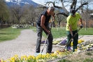 2015-04-15 Stadtgärtner beim Blumen setzen