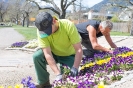 stadtgaertner-blumen_4