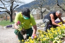 stadtgaertner-blumen_5