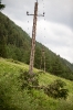 2015-07-08-Matrei-Raneburg Baum auf Stromleitung gefallen _1