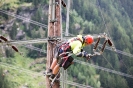 2015-07-08-Matrei-Raneburg Baum auf Stromleitung gefallen 