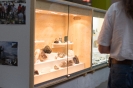 2015-08-03-Eröffnung Mineralienausstellung in Raika Lienz