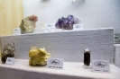 2015-08-03-Eröffnung Mineralienausstellung in Raika Lienz