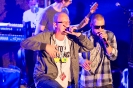 Die Burg Lebt Konzert _20