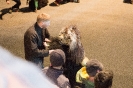 Die Klanen Krampusse Oberlienz (3.12.2015)_9