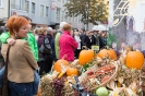Erntedank Stadtmarkt Lienz (3.10.2015)_14