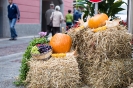 Erntedank Stadtmarkt Lienz (3.10.2015)_1