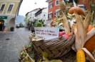 Erntedank Stadtmarkt Lienz (3.10.2015)_2