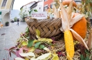 Erntedank Stadtmarkt Lienz (3.10.2015)_3