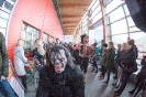 Nikolaus und Krampus Interspar (5.12.2015)_10