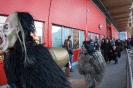 Nikolaus und Krampus Interspar (5.12.2015)_8