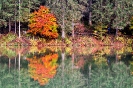 Photowalk Tristacher See (18.10.2015)_13