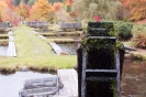 Photowalk Tristacher See (18.10.2015)_29