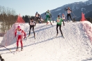 42. Dolomitenlauf Obertilliach (24.1.2016)