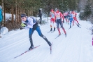 42. Dolomitenlauf Obertilliach (24.1.2016)_12