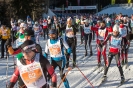 42. Dolomitenlauf Obertilliach (24.1.2016)_28