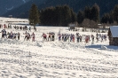 42. Dolomitenlauf Obertilliach (24.1.2016)_31