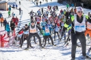 42. Dolomitenlauf Obertilliach (24.1.2016)_34