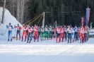 42. Dolomitenlauf Obertilliach (24.1.2016)_3