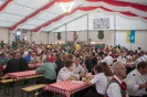 Bezirksmusikfest Assling _9