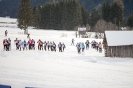 Dolomitenlauf Classic Race Obertilliach (23.1.2016)_50