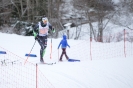Dolomitenlauf Classic Race Obertilliach (23.1.2016)_67