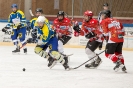 Eishockey-U16 Huben gegen Lienz (13.2.2016)_10