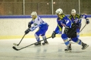 Eishockey Huben gegen Althofen (13.2.2016)_4