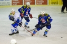 Eishockey Huben gegen Althofen (13.2.2016)