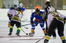 Eishockey Leisach gegen Irischen (2.1.2016)_14