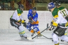 Eishockey Leisach gegen Irischen (2.1.2016)_16