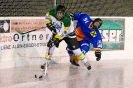 Eishockey Leisach gegen Irischen (2.1.2016)_2