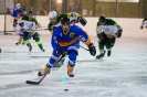 Eishockey Leisach gegen Irischen (2.1.2016)_4