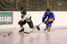 Eishockey Leisach gegen Irischen (2.1.2016)