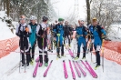 Laserzlauf (6.3.2016)