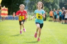 Römerlauf Dölsach (26.6.2016)_37