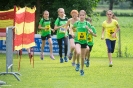 Römerlauf Dölsach (26.6.2016)_63