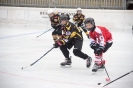 Eishockey U12 SG Lienz/Leisach gegen SG Spittal/Feld am See (26.11.2016)_6