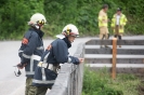 Suchaktion  in Fließgewässer (Drau) (19.6.2016)