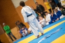 Tirolcup Judo Matrei (10.4.2016)_13