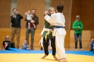 Tirolcup Judo Matrei (10.4.2016)