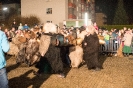 Tischzichen der Krampusgruppe Frieden (26.11.2016)_17