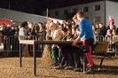 Tischzichen der Krampusgruppe Frieden (26.11.2016)_28